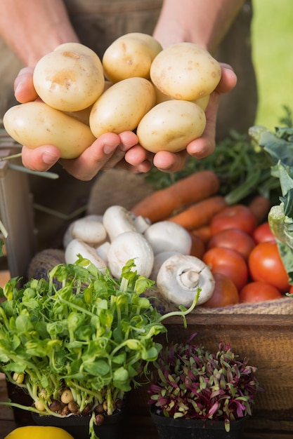 Agricoltore che mostra le sue patate organiche