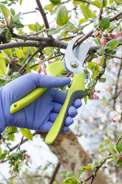 Agricoltore che si occupa del giardino