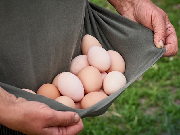 Agricoltore che tiene le uova biologiche fresche