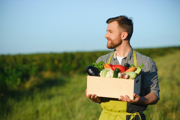 Agricoltore che tiene una cassa di verdure biologiche nella fattoria Uomo felice che mostra una scatola di verdure raccolte