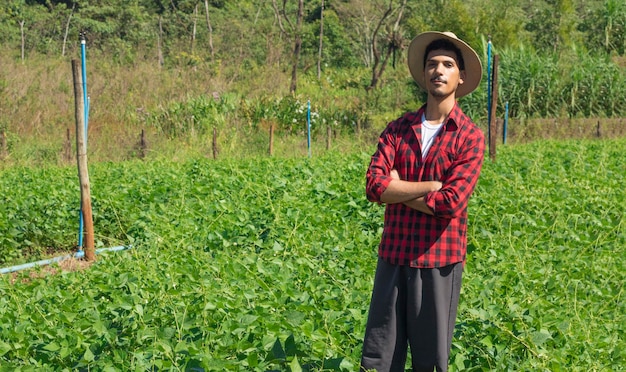 Agricoltore che utilizza computer tablet digitale nella piantagione di campi di soia coltivati. Applicazione della tecnologia moderna nell'attività di coltivazione agricola.