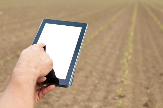 Agricoltore che utilizza computer tablet in campo agricolo coltivato. Schermo bianco.