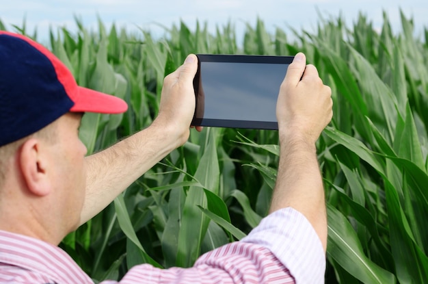 Agricoltore con tablet che ispeziona il campo di mais