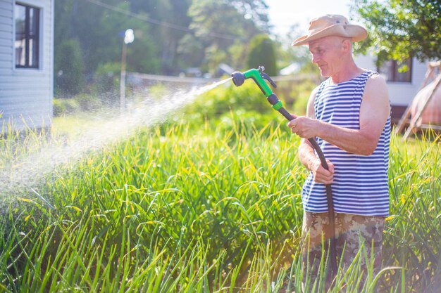 Agricoltore con tubo da giardino e ugello per l'irrigazione delle piante vegetali in estate Concetto di giardinaggio Piante agricole che crescono in fila di letto