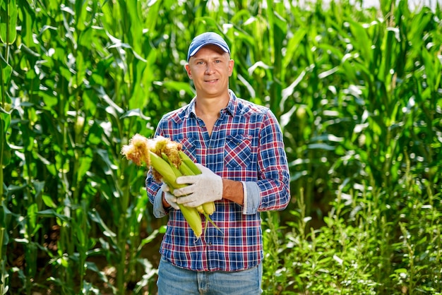 Agricoltore dell'uomo con un raccolto di mais.