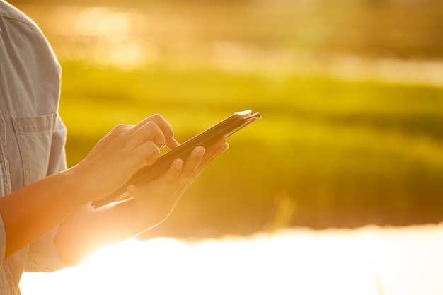 Agricoltore della donna che utilizza compressa digitale nel campo di mais con luce solare.