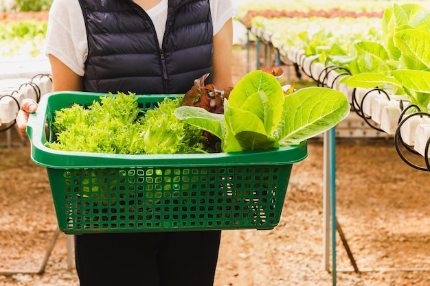 Agricoltore donna asiatica che tiene cesto di verdure in azienda agricola biologica