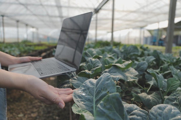 Agricoltore donna asiatica che utilizza la tavoletta digitale nell'orto in serra Concetto di tecnologia agricola aziendale agricoltore intelligente di qualità