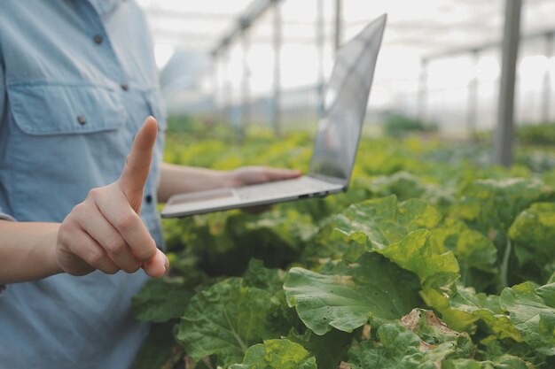 Agricoltore donna asiatica che utilizza la tavoletta digitale nell'orto in serra Concetto di tecnologia agricola aziendale agricoltore intelligente di qualità