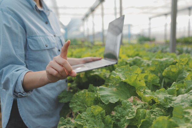 Agricoltore donna asiatica che utilizza la tavoletta digitale nell'orto in serra Concetto di tecnologia agricola aziendale agricoltore intelligente di qualità