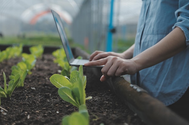 Agricoltore donna asiatica che utilizza la tavoletta digitale nell'orto in serra Concetto di tecnologia agricola aziendale agricoltore intelligente di qualità