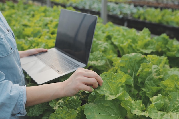 Agricoltore donna asiatica che utilizza la tavoletta digitale nell'orto in serra Concetto di tecnologia agricola aziendale agricoltore intelligente di qualità