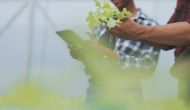 Agricoltore donna asiatica che utilizza la tavoletta digitale nell'orto in serra Concetto di tecnologia agricola aziendale agricoltore intelligente di qualità