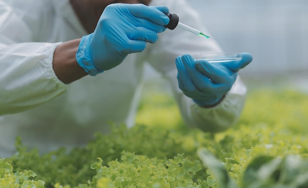 Agricoltore donna asiatica che utilizza la tavoletta digitale nell'orto in serra Concetto di tecnologia agricola aziendale agricoltore intelligente di qualità