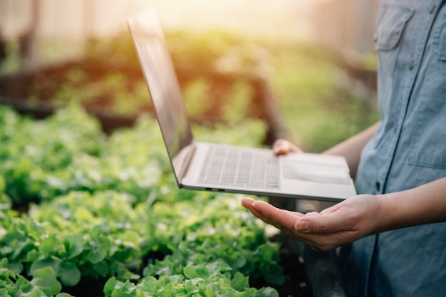 Agricoltore donna asiatica che utilizza la tavoletta digitale nell'orto in serra Concetto di tecnologia agricola aziendale agricoltore intelligente di qualità