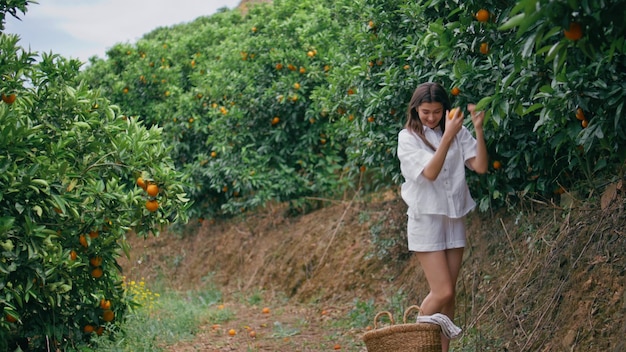 Agricoltore donna che raccoglie arance frutta giardiniera che mette i mandarini nel cesto