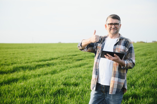 Agricoltore esperto e fiducioso nel suo campo Ritratto di agronomo anziano agricoltore nel campo di grano