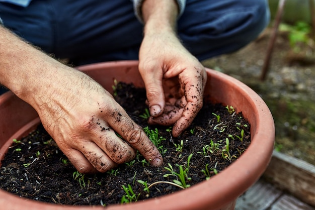 Agricoltore in guanti sulle mani che pianta giovane piantina di melanzane in terreno asciutto in giardino biologico Concetto di orticoltura ecofriendly Focus selettivo