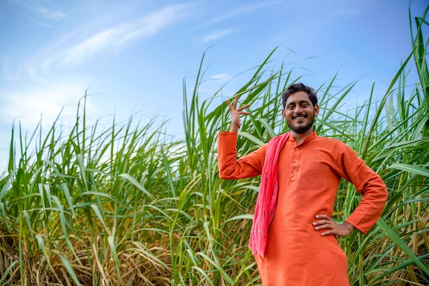 Agricoltore indiano al campo di agricoltura verde della canna da zucchero.