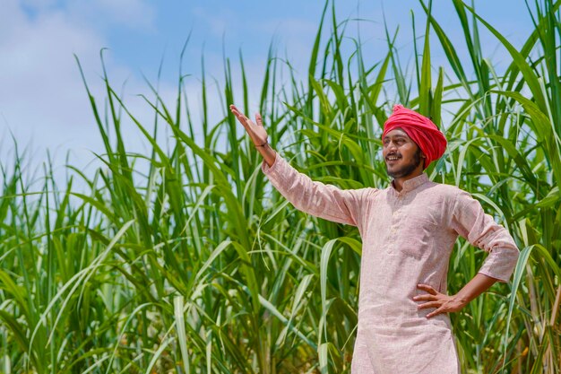 Agricoltore indiano al campo di agricoltura verde della canna da zucchero.