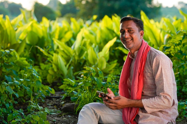 Agricoltore indiano che utilizza smartphone nel campo agricolo della curcuma