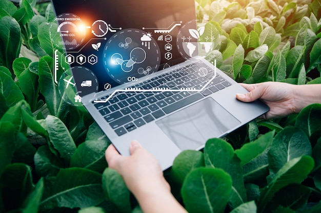 Agricoltore intelligente che utilizza l'applicazione di concetti tablet verdure moderne e lattuga da giardinaggio in serra e icona visiva