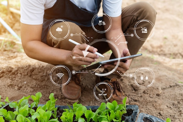 Agricoltore intelligente che utilizza l'applicazione per smartphone concetti tecnologia agricola moderna e icona visiva