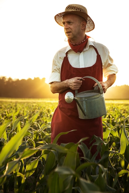 agricoltore manuale irrigare il campo di mais