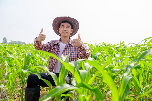 Agricoltore maschio asiatico in camicia a righe e cappello seduto e pollice in su alla fattoria di mais