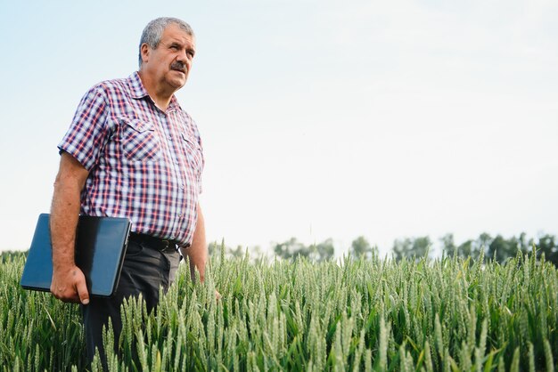 Agricoltore moderno che controlla un campo di grano e lavora al computer portatile