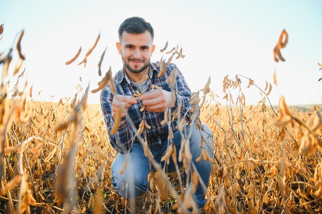 Agricoltore o agronomo che ispeziona il campo di soia