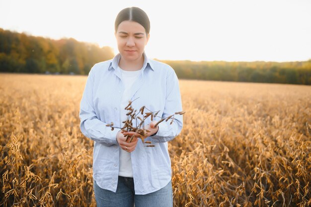 Agricoltore o agronomo femminile che esamina le piante di soia nel campo