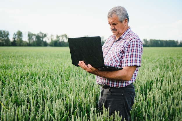 Agricoltore senior in esame archiviato e guardando laptop