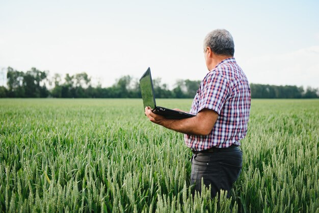 Agricoltore senior in esame archiviato e guardando laptop