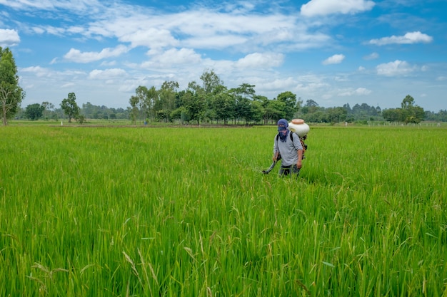 Agricoltore tailandese asiatico agli erbicidi o ai fertilizzanti chimici Attrezzatura sui campi