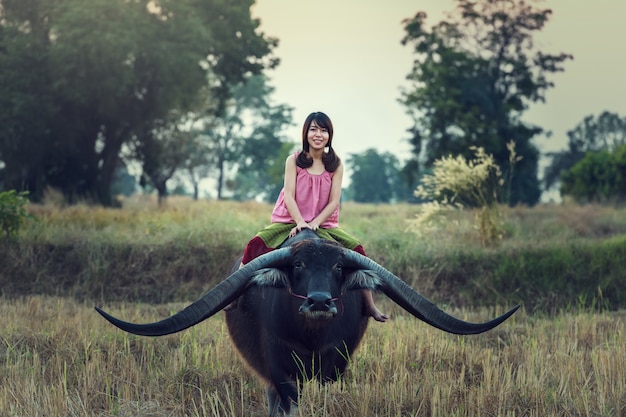 Agricoltore (tailandese) della donna asiatica con un bufalo nel campo