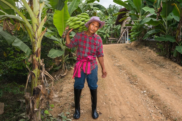 Agricoltori asiatici che trasportano banane