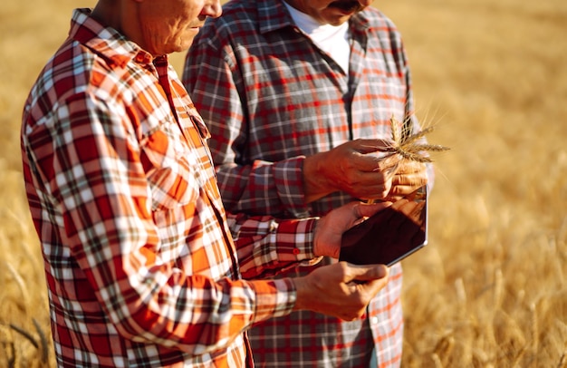 Agricoltori con tablet nel campo Tecnologia agricola moderna Concetto di agricoltura intelligente