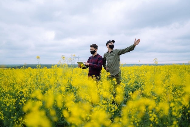 Agricoltori con tablet sul campo Gli agricoltori in maschere mediche discutono di questioni agricole sul campo