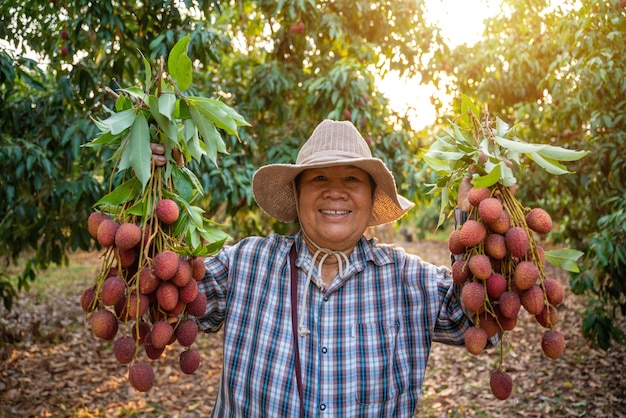 Agricoltura Agricoltore femminile anziano asiatico che mostra un ricco litchi con un sorriso felice