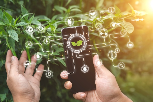 Agricoltura della tecnologia digitale e concetto di agricoltura intelligente.