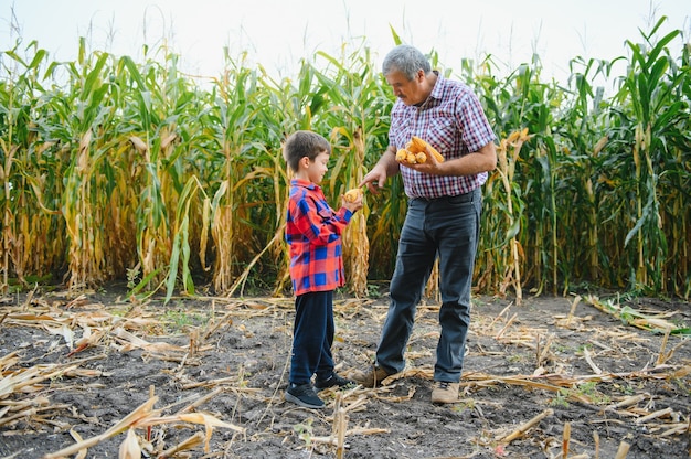 Agricoltura familiare. Nonno di agricoltori con nipotino in un campo di mais. il nonno esperto spiega al nipote la natura della crescita delle piante.