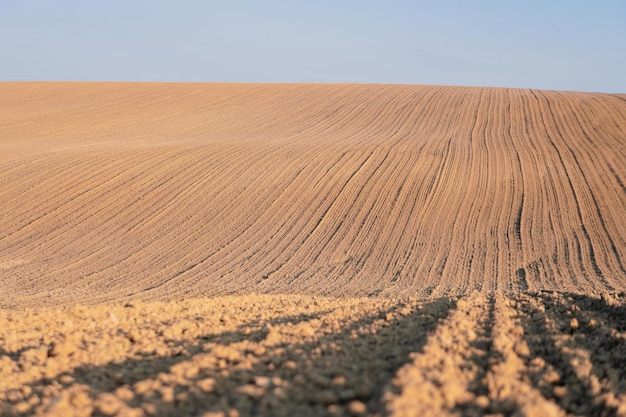 Agricoltura in campo coltivato a terra ondulata