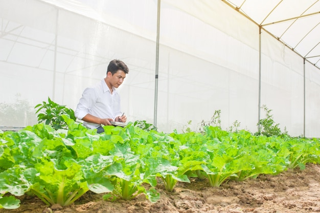 Agricoltura industriale di agricoltura che controlla le piante