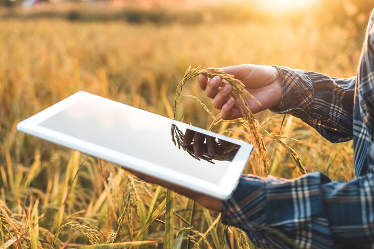 Agricoltura intelligente Tecnologia agricola e agricoltura biologica Donna che usa la ricerca