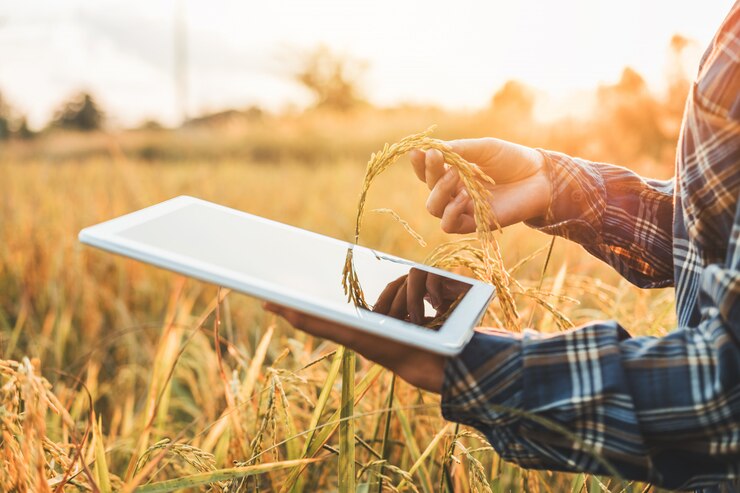 Agricoltura intelligente Tecnologia agricola e agricoltura biologica Donna che usa la ricerca