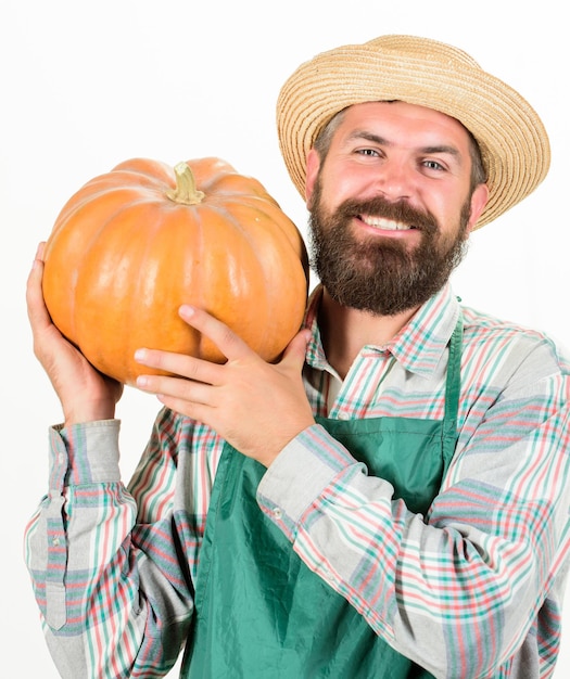 Agricoltura semi fertilizzante e raccolto Concetto di agricoltura L'uomo barbuto rustico contadino indossa grembiule presentando zucca sfondo bianco Cappello di paglia contadino porta grande zucca Agricoltura e agricoltura