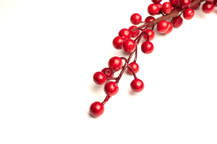 Foto agrifoglio di bacche rosse isolato su sfondo bianco