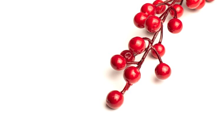 Foto agrifoglio di bacche rosse isolato su sfondo bianco