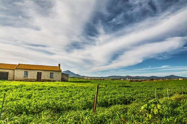 Agriturismo in un campo verde in una giornata nuvolosa